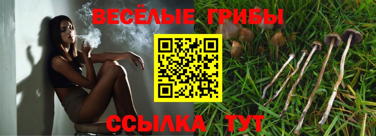 Псилоцибиновые грибы GOLDEN TEACHER Вятские Поляны