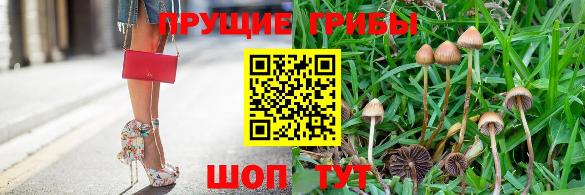 Вятские Поляны  Псилоцибиновые грибы GOLDEN TEACHER  Вход с VPN 